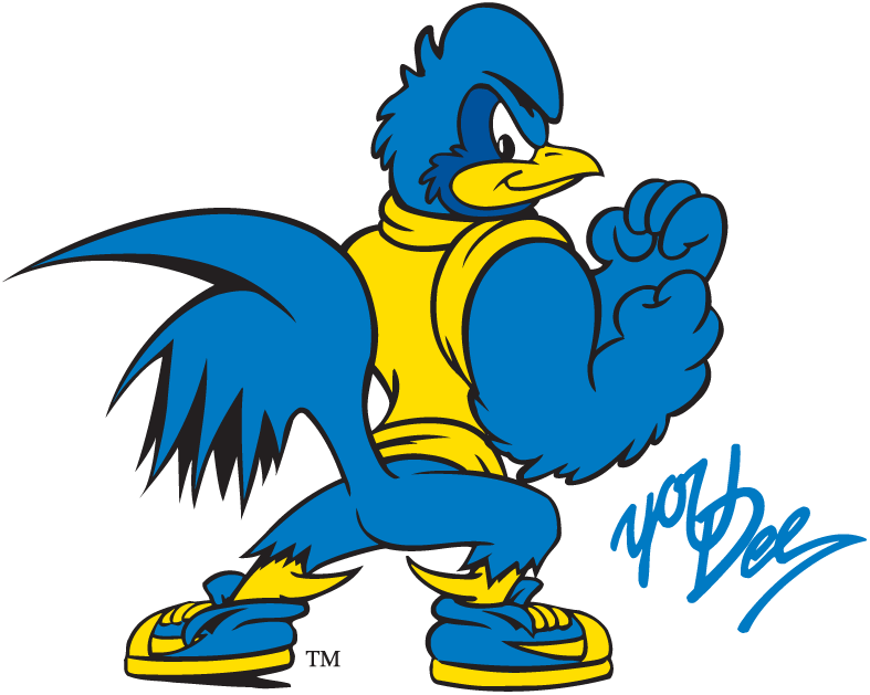 Delaware Blue Hens 1993-Pres Mascot Logo t shirts DIY iron ons